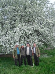 В Уянкуле весна. Хабир, Николай, Амир